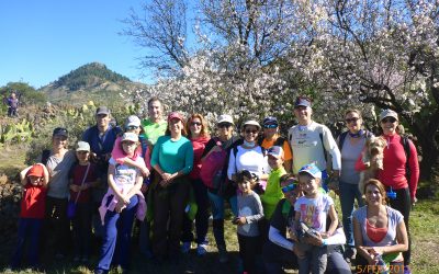Ruta familiar: Los almendros en flor de Santiago del Teide