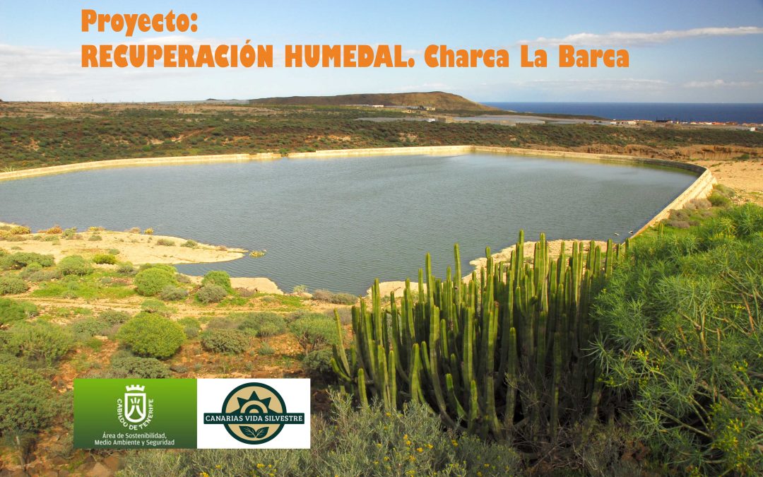 Recuperación del humedal Charca La Barca