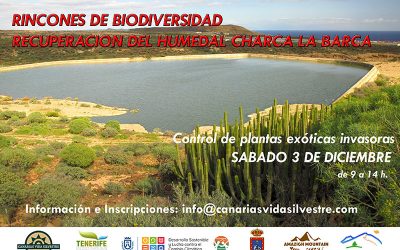 Actividad de recuperación ambiental