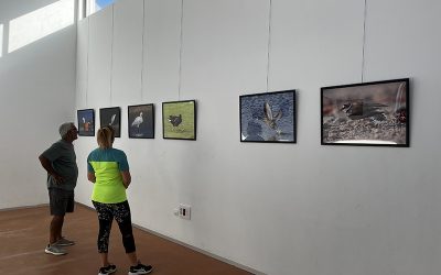 Exposición de fotografías proyecto Charca La Barca